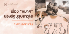 เรื่อง “หมาๆ” ของรัฐบุรุษอาวุโส