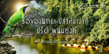 ชื่อของนกและปลาที่มาจากปรีดี พนมยงค์
