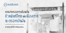 ยามบ่ายของการเยือนถิ่นหัวหน้าเสรีไทยแห่งเมืองตาก ณ ตรอกบ้านจีน