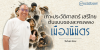 เกาะประวัติศาสตร์เสรีไทย ต้นแบบของละครเพลง เมืองนิมิตร